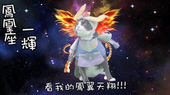 從全球熱播到產(chǎn)業(yè)鏈延伸 《名偵探柯南》動(dòng)漫游戲開(kāi)發(fā)的全球化策略